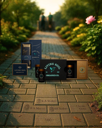 Classic Legacy Brick Tier: 1